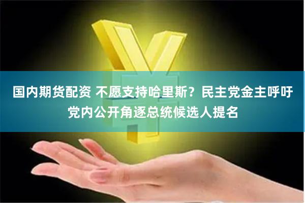 国内期货配资 不愿支持哈里斯？民主党金主呼吁党内公开角逐总统候选人提名