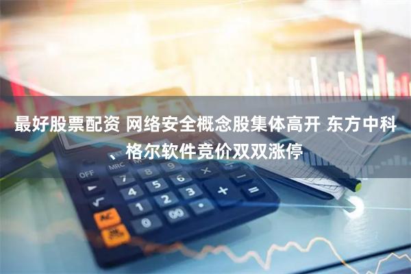 最好股票配资 网络安全概念股集体高开 东方中科、格尔软件竞价双双涨停