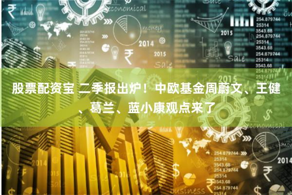 股票配资宝 二季报出炉！中欧基金周蔚文、王健、葛兰、蓝小康观点来了