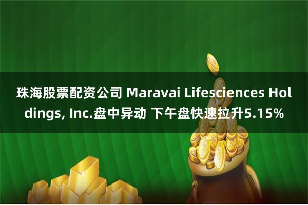 珠海股票配资公司 Maravai Lifesciences Holdings, Inc.盘中异动 下午盘快速拉升5.15%