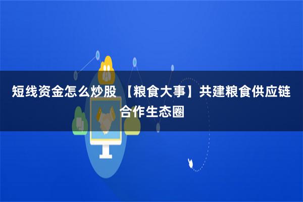 短线资金怎么炒股 【粮食大事】共建粮食供应链合作生态圈