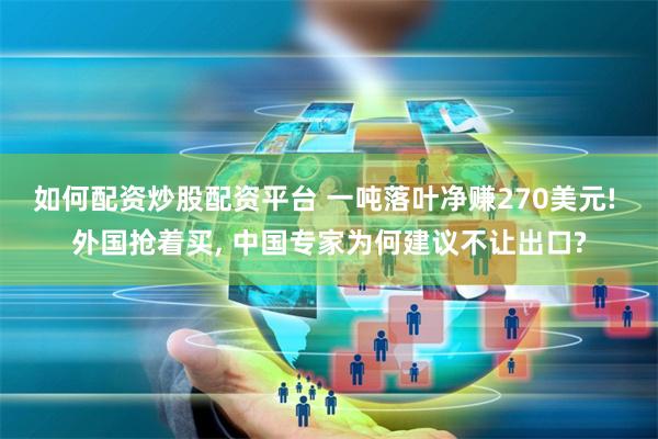 如何配资炒股配资平台 一吨落叶净赚270美元! 外国抢着买, 中国专家为何建议不让出口?