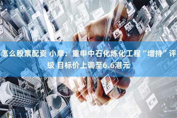 怎么股票配资 小摩：重申中石化炼化工程“增持”评级 目标价上调至6.6港元