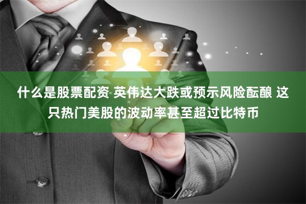 什么是股票配资 英伟达大跌或预示风险酝酿 这只热门美股的波动率甚至超过比特币
