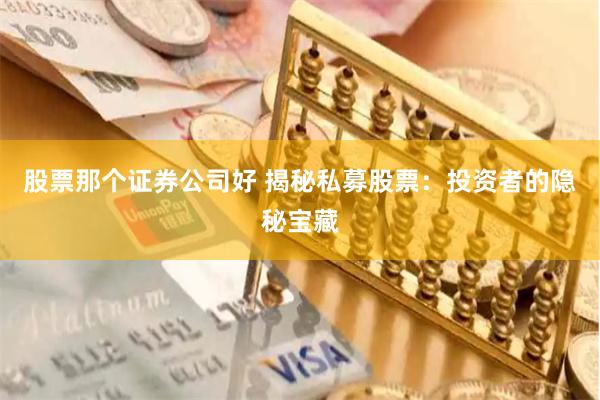 股票那个证券公司好 揭秘私募股票：投资者的隐秘宝藏